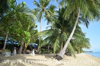Maenam © tropical-travel.de