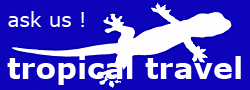 250tropical-travelGecko
