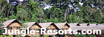 jungle-resorts