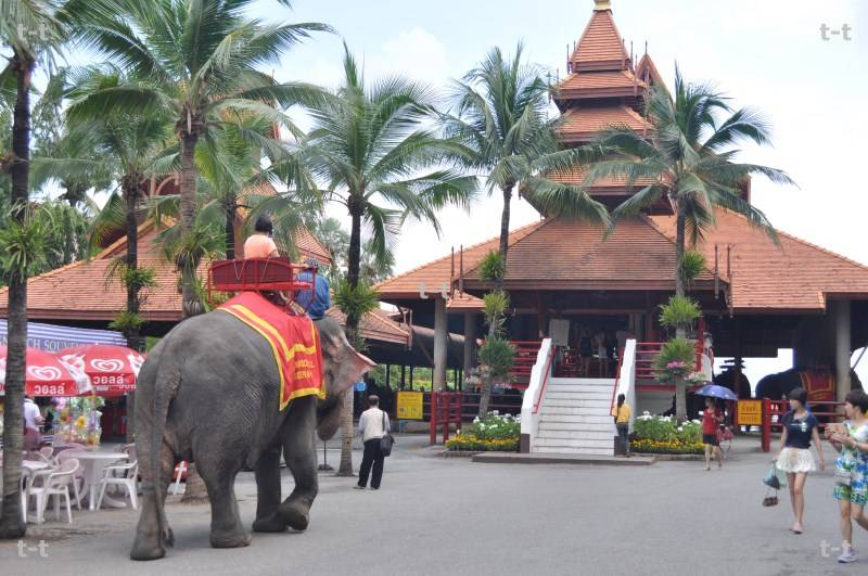 Nong Nooch Garden