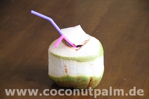 Kokosnussgetränk