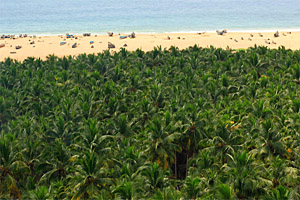 Kovalam