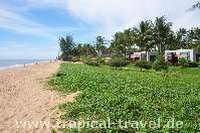 Bang Niang Beach Khao Lak Bang Niang Beach Khao Lak © tropical-travel.com
