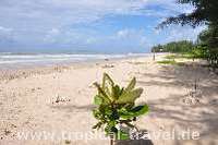 Khuk Khak Beach Khao Lak Khuk Khak Beach Khao Lak © tropical-travel.com