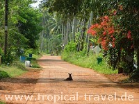Koh Mak Koh Mak