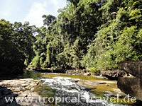 Dschungel trecking auf Koh Kut