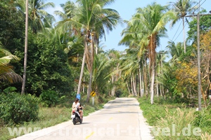 Koh Kut © tropical-travel.de