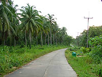 Koh Kut