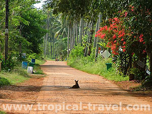 Koh Mak