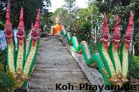 Koh Phayam