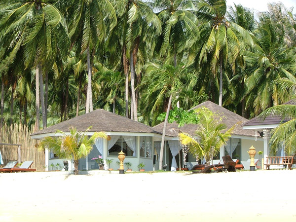 Lipa noi