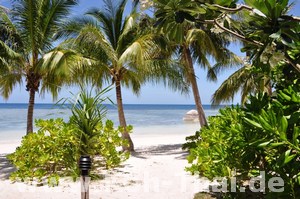 Koh Tao