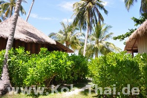 Koh Tao