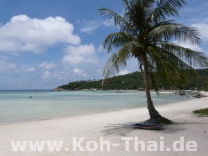 Koh Tao