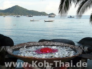 Koh Tao