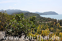 Tarutao