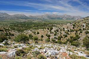 Lasithi Hochebene