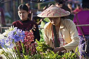 Inlesee