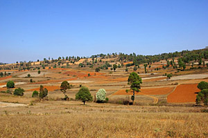 Inlesee