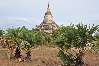 Bagan