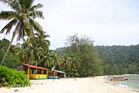 Monkey Beach