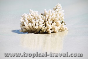 Pulau Perhentian Pulau Perhentian