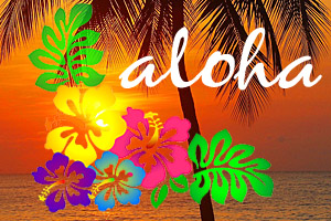 Aloha Hawaii