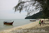 Monkey Beach Monkey Beach
