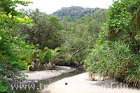 Taman Negara Pulu Pinang Taman Negara Pulu Pinang