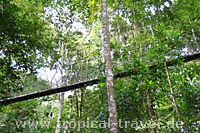 Taman Negara Pulu Pinang Taman Negara Pulu Pinang