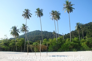 Teluk Dalam