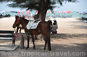 Chaam-Hua Hin, Thailand - tropical-travel.com