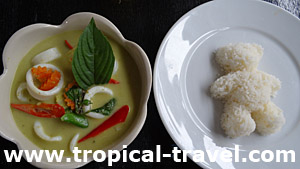 Grünes Curry - tropical-travel.com