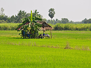 Thailand - tropical-travel.com