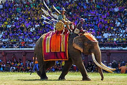 Elefanten-Festival © pixabay.com
