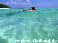 Thailand tauchen - tropical-travel.com