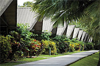 Palm Bungalow