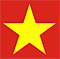 Vietnam Logo