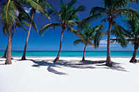 Dom Rep - © Tourist Information Dominican Republic