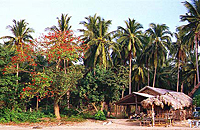 Klong Dao Koh Lanta Lanta 2001