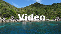 Koh Tao Video