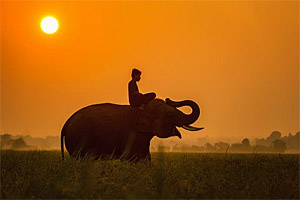 Cambodia