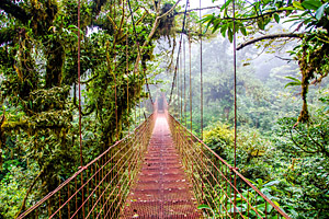 Monteverde, Costa Rica © Simon Dannhauer | 123RF.com