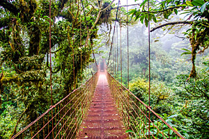 Monteverde, Costa Rica © Simon Dannhauer | 123RF.com Monteverde, Costa Rica © Simon Dannhauer | 123RF.com