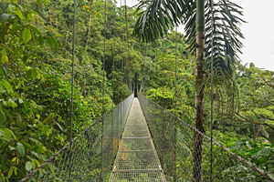 Baumkronenbrücke, Costa Rica © Dimitry Bulakov | 123RF.com Baumkronenbrücke, Costa Rica © Dimitry Bulakov | 123RF.com