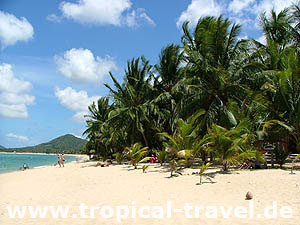 Maenam Beach Koh Samui © tropical-travel.de