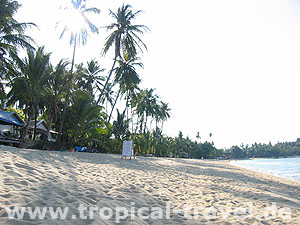 Bophut Beach Koh Samui © tropical-travel.de