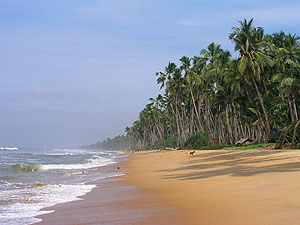 Sri Lanka beach © Nadezda Glazova - Dreamstime.com Sri Lanka beach © Nadezda Glazova - Dreamstime.com