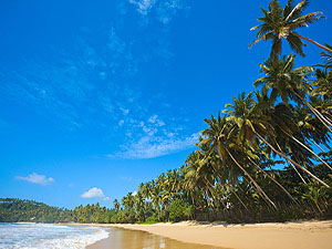 Sri Lanka beach © Dmitry Rukhlenko | Dremstime.com Sri Lanka beach © Dmitry Rukhlenko | Dremstime.com