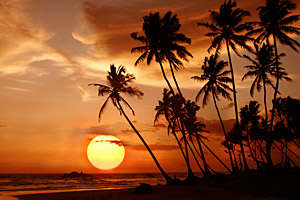 Kalutara beach, Sri Lanka © Anton Gvozdikov | 123RF.com